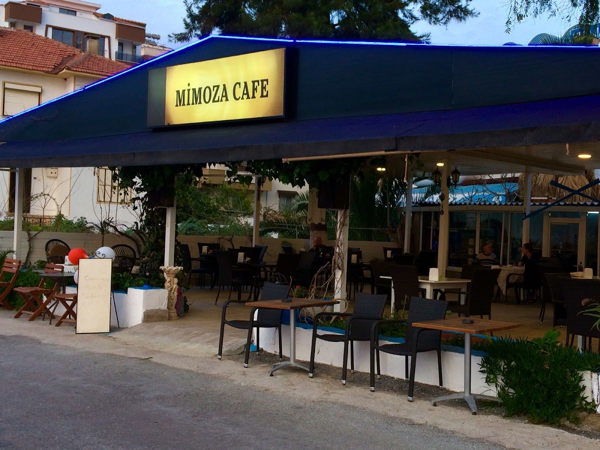 Mimoza Cafe